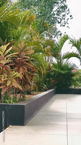 Beautiful Tropical Garden Landscape with Palm Trees and Modern Pavement