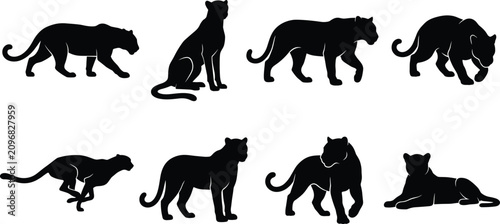 Photography Black Panther Silhouette Collection with Walking Running and Resting Big Cat Vec