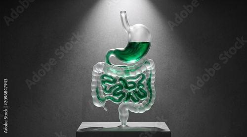 Transparent Glass Human Digestive System Model with Glowing Green Liquid on Pedestal, Medical Concept for Gut Health and Detox