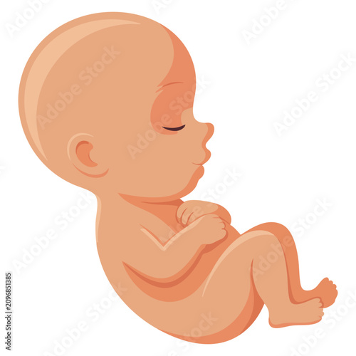 Foto Cute little baby curl up illustration isolated design element suitable for infan