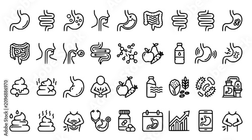 Digestive system vector icons for health and medical designs