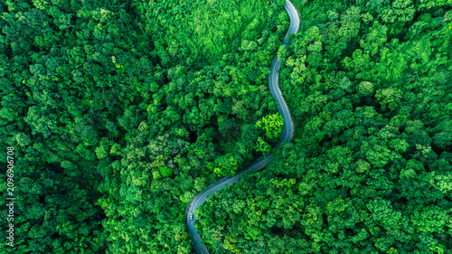 Scenic aerial forest road representing climate resilience, sustainable transportation, Renewable Energy Transition, Environmental Management, Green Economy, and long-term responsible corporate develop