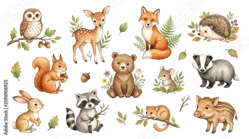 Adorable Woodland Animal Watercolor Illustrations Featuring Cute Forest Creatures and Nature Elements for Nursery Decor
