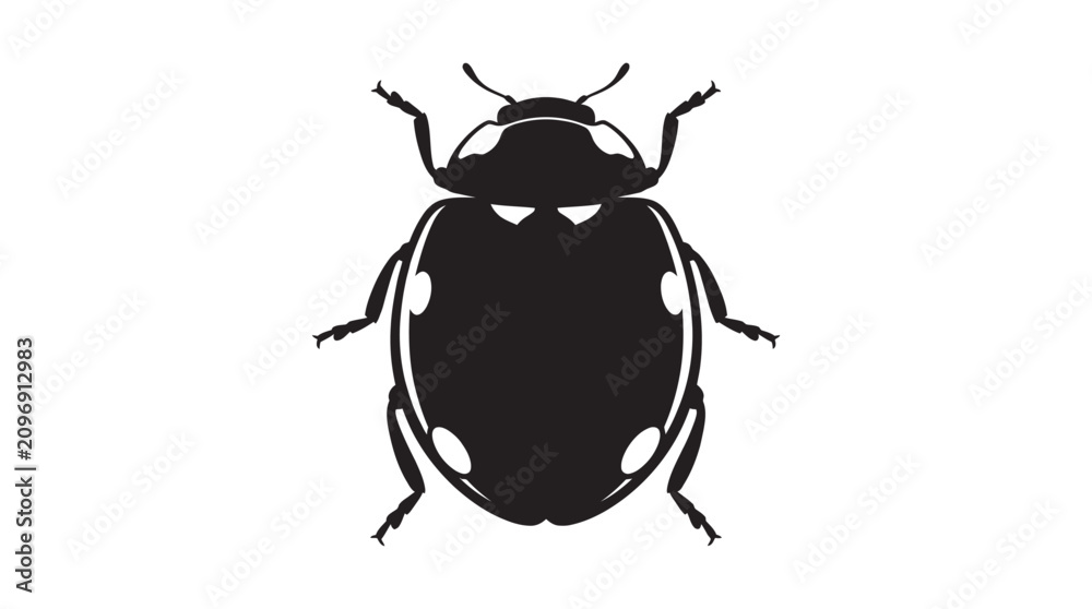 Fototapeta premium Black Ladybug With White Spots Insect Silhouette