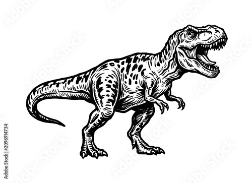 Tyrannosaurus rex with open jaws and muscular body, vintage engraved illustration, prehistoric dinosaur vector illustration