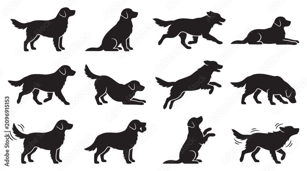 Obraz premium Golden Retriever Dog Poses Collection Black Silhouette
