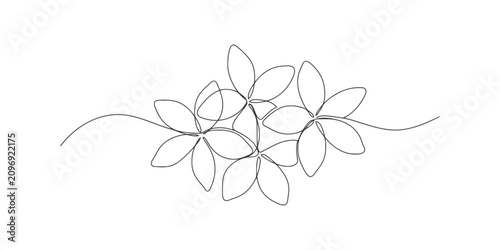 Continuous single line drawing of tropical frangipani plumeria flowers