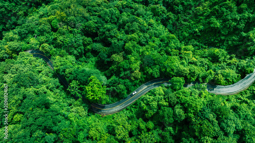 Natural forest corridor with modern transportation access, representing Climate Strategy, Net Zero Transition, Carbon Credit Market, Renewable Energy support, Sustainable Mobility, ESG governance, and