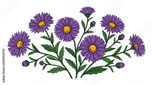 Adobe Illustrator Artwork