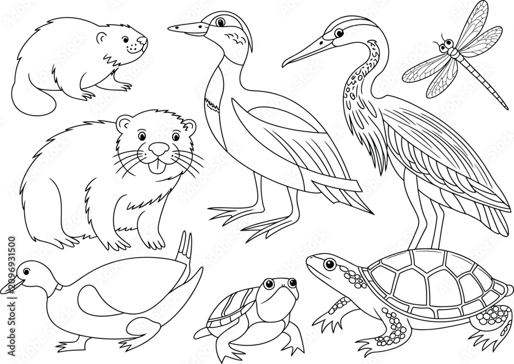 Naklejka premium Cute black and white wildlife animals coloring page illustration transparent background