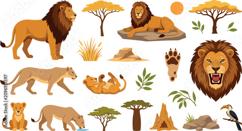 Canvas Print African lion safari wild animal vector cartoon collection featuring male lion li