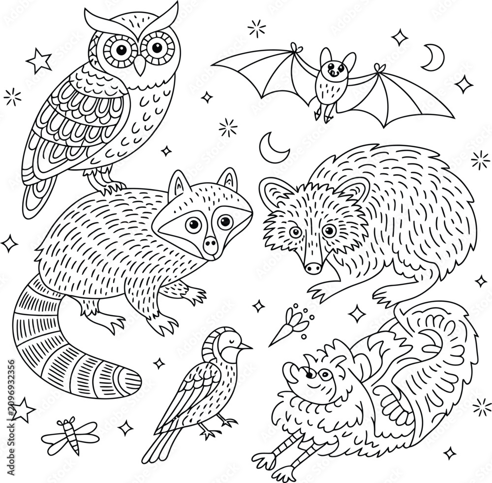 Fototapeta premium Cute nocturnal animals illustration featuring owl raccoon bat and bird designs