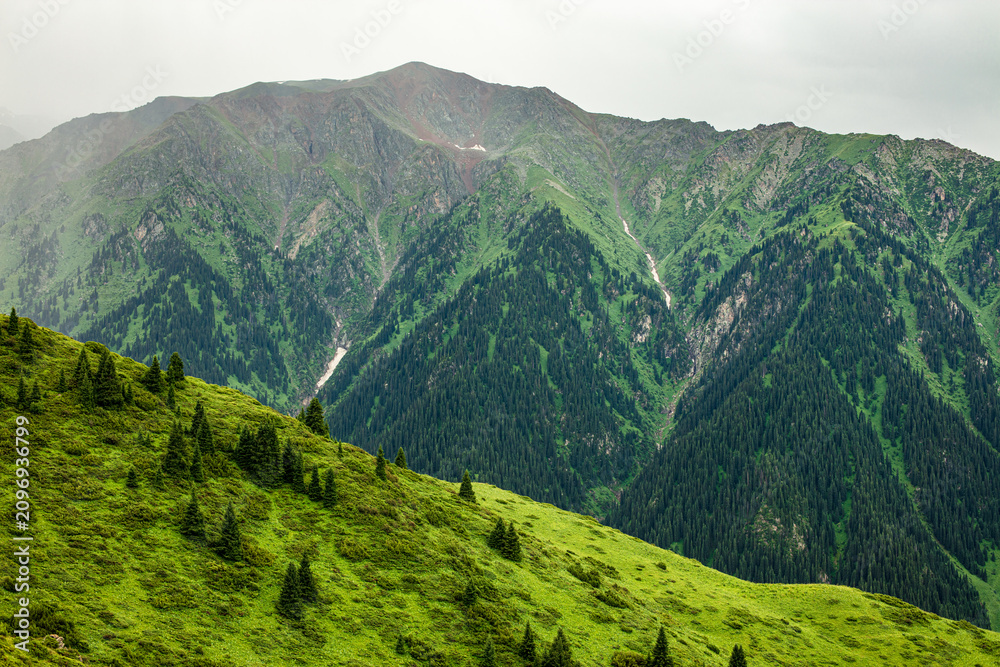 Fototapeta premium Landscape Kazachstan, mountainm trees, green, woods, travel, nature, clubs, blue, 
