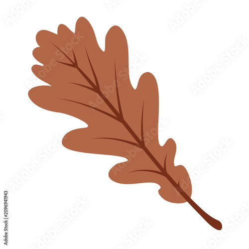 Brown oak leaf isolated on transparent background. Hand drawn vector illustration in flat style. Botanical element for autumnal design