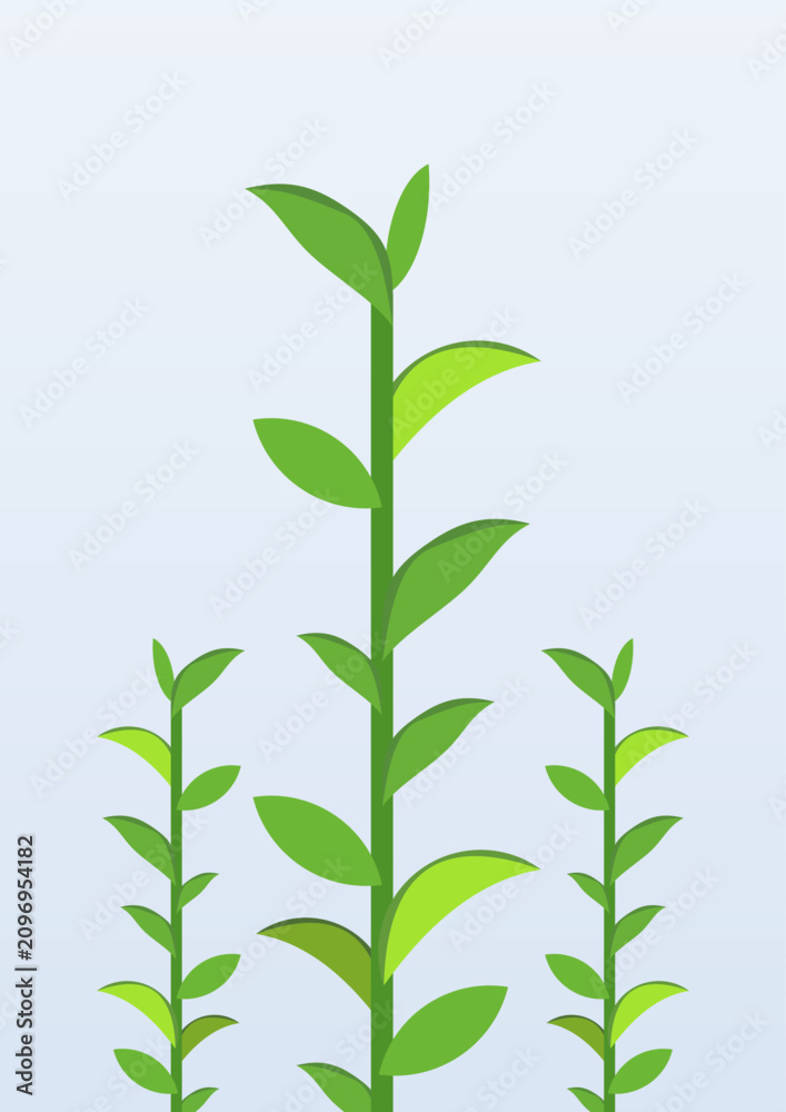 Fototapeta premium Three green tea branches with fresh leaves on light backdrop. Minimal clean graphic design element template for organic beverage packaging or herbal theme.