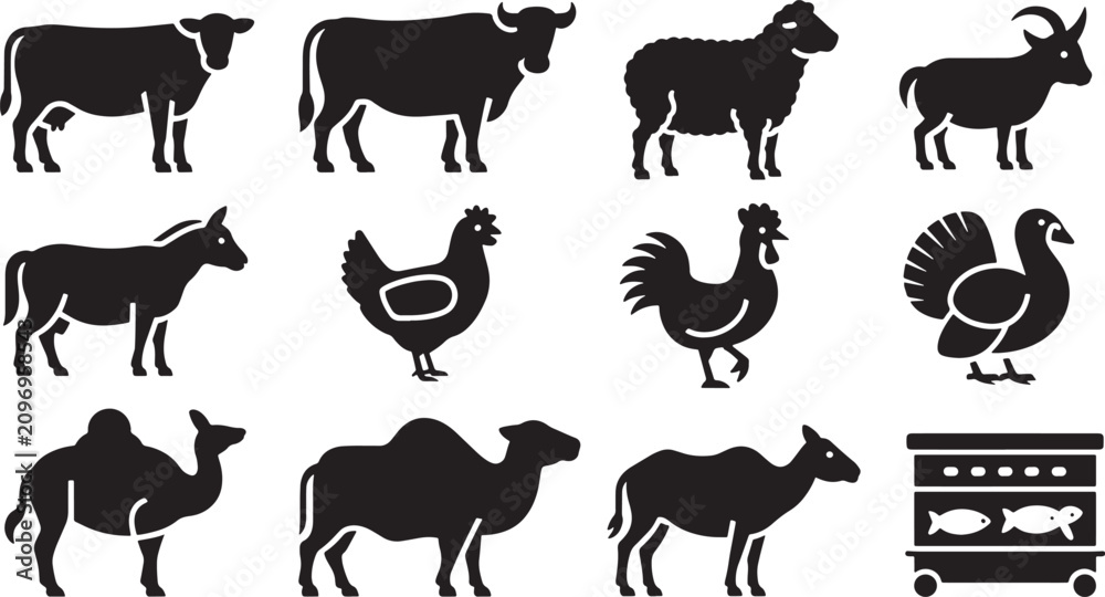 Obraz premium Farm animal silhouettes collection featuring cow, sheep, goat, chicken, rooster and camel and icons set, domestic and group and icon and black silhoue
