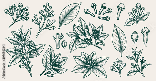 Bild auf Leinwand Coffee plant and beans pattern, hand drawn botanical sketch wallpaper, green ink