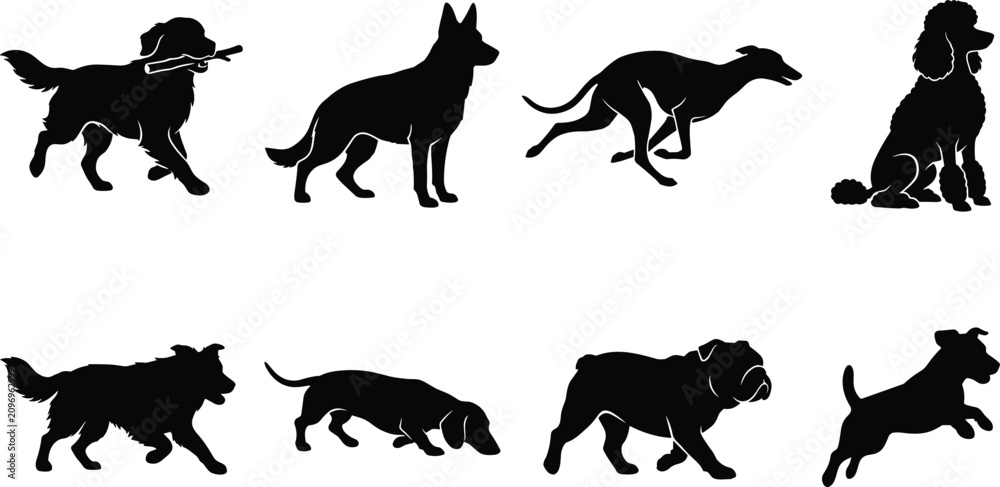 Obraz premium Popular Dog Breeds Domestic Canine Pets Active and Sitting Animals Silhouette Vector Graphic Icon Set