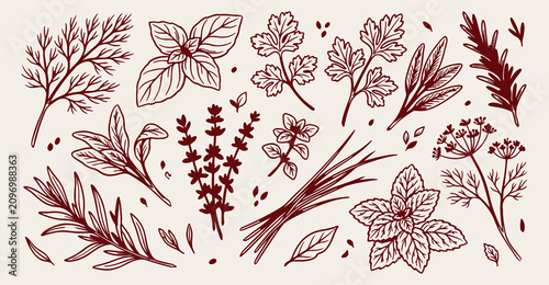 Quadro su tela Herbs and spices seamless pattern, hand drawn culinary botanical wallpaper, orga