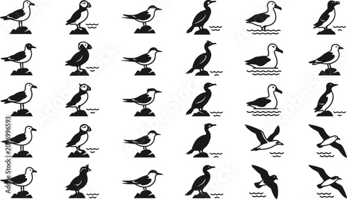 Sea Birds and Marine Wildlife Silhouette Icon Set Featuring Seagulls, Puffins, Cormorants, Albatrosses, and Coastal Waterfowl Perched on Rocks for Marine Graphic Designs