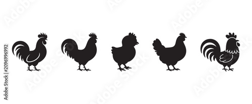 Chicken Silhouette Set Rooster Hen Farm Poultry Bird Icons Agriculture Logo Projects