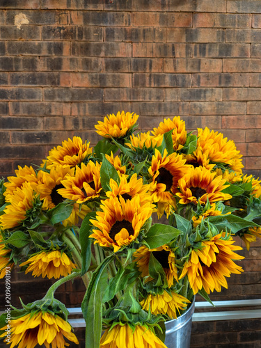 Beautiful sunflower bouquet with vivid yellow petals and green foliage in front of a weathered brick wall