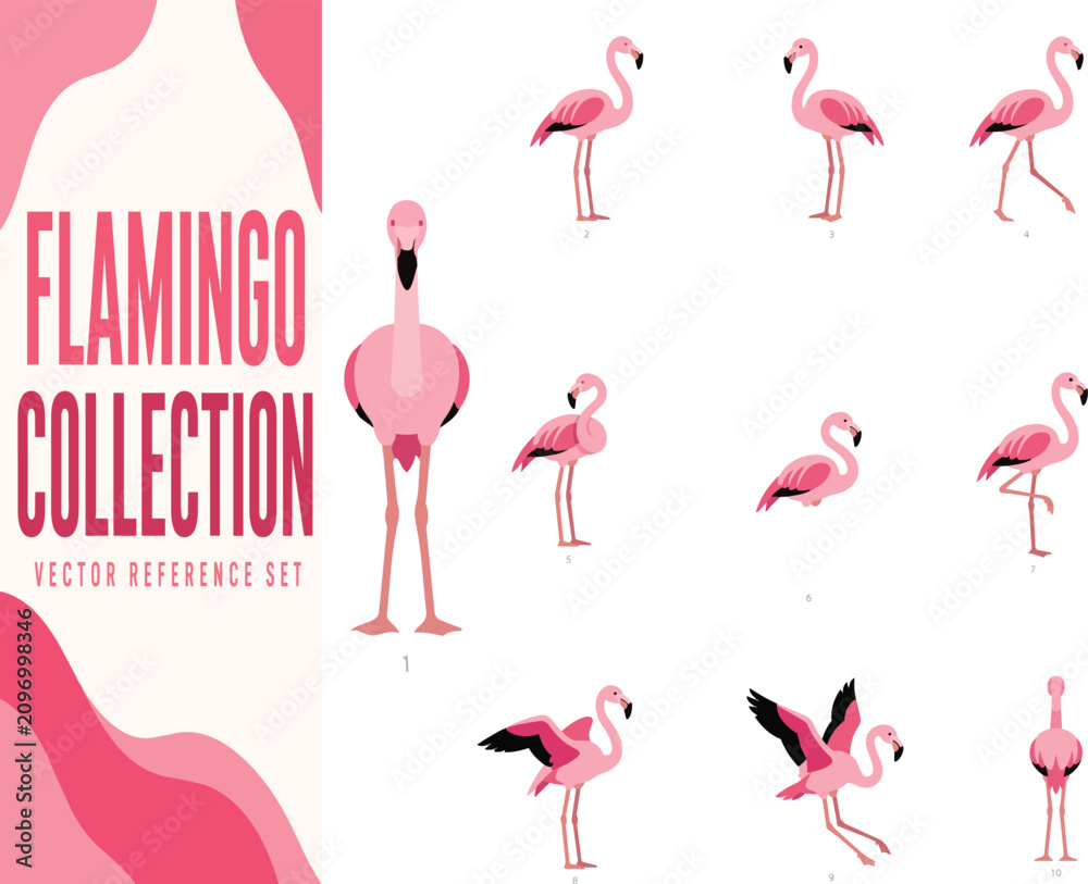 Fototapeta premium Premium Greater Flamingo Collection – 10 Flat Graphic Vector Illustration Poses for Tropical Wildlife, Nature and Educational Design