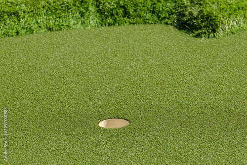 Canvastavla Golf course putting green with hole