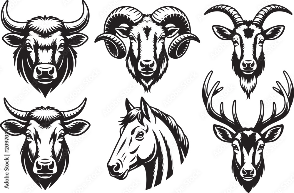 Fototapeta premium Livestock Animal Head Collection Black And White Vector Illustrations