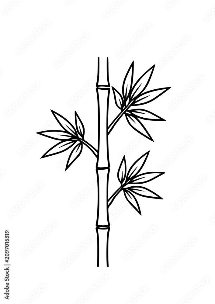 Obraz premium Simple bamboo stalk with leaves outline vector for eco concept