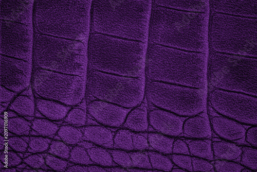 Foto Purple crocodile texture close up view
