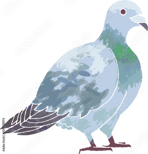 Fotografie 害鳥ハトのデフォルメイラスト。手書き風のフン害や鳩よけ対策イメージ。