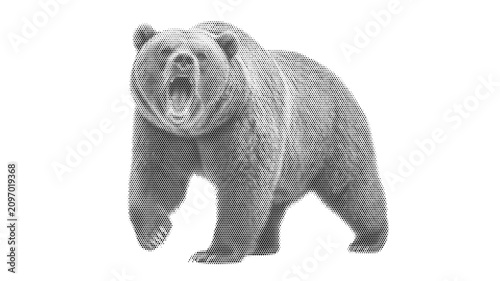 Fotografie animal halftone danger bear grizzly nature mammal wildlife predator wild illustr