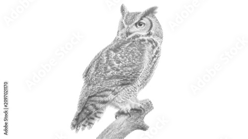 Obraz na plátně halftone night bird owl beak wise animal nature wild wildlife vector illustratio