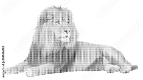 Schilderij op canvas halftone cat king lion majestic feline nature wild predator wildlife vector illu