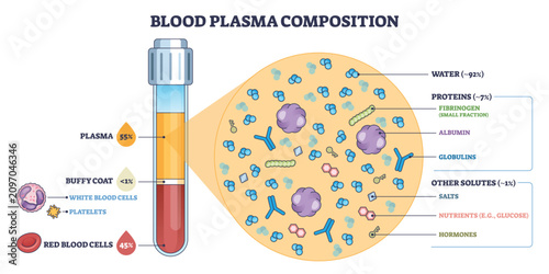 Bild auf Leinwand Blood plasma composition graphic with test tube, plasma layer, and red blood cells, illustrating water, proteins, and solutes proportions