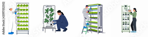 Foto Set of illustrations showing technicians working with modern vertical farming systems, hydroponic racks, and smart agricultural technology for sustainable indoor plant cultivation
