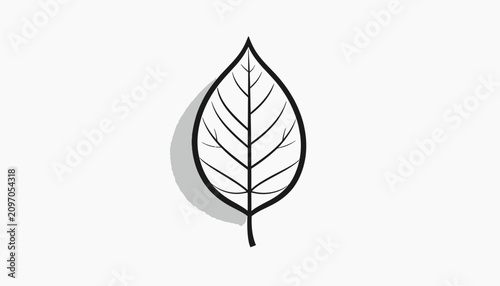 Cuadro en lienzo Detailed illustration of a single leaf.