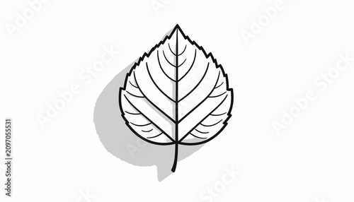 Billede på lærred Detailed illustration of a single leaf.