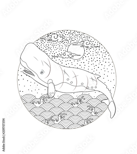 Tattoo stencil images featuring whales—suitable for line art and dotwork styles. Includes sperm whales, humpback whales, and orcas.