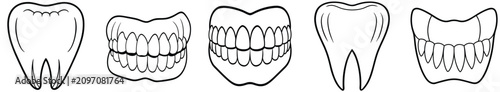 Foto Dental anatomy illustrations canine incisor and premolar tooth structures for ed