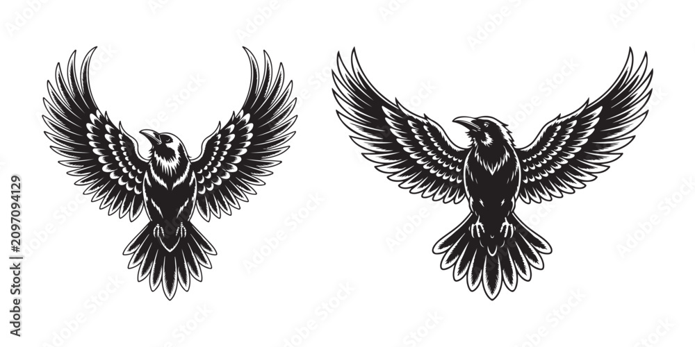 Obraz premium Black raven with spread wings, tattoo bird crow white