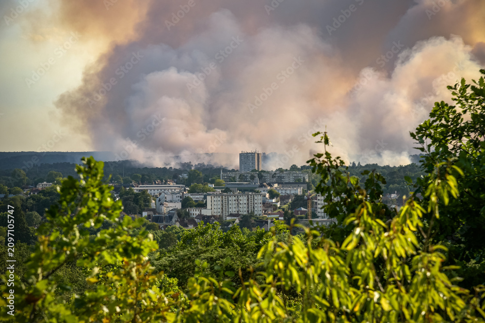 Fototapeta premium panoramic view of the fire in the Fontainebleau forest
