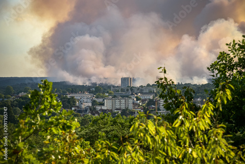 panoramic view of the fire in the Fontainebleau forest