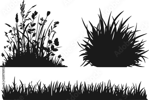 Картината върху платно 様々な種類の野生の草原の草、花、密集した庭の茂みを特徴とする黒いシルエットのコレクション