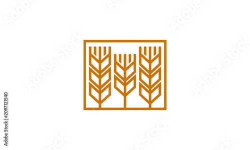 Modern geometric wheat ears logo design, abstract linear agriculture gold grain crop icon, corporate organic bakery farming food brand symbol isolated