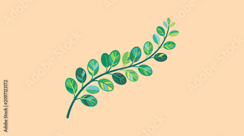 Schilderij op canvas Green leafy branch with small leaves.