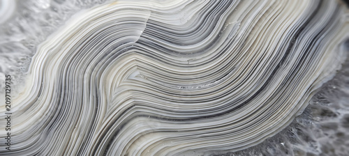 Bild auf Leinwand Close-up macro view of layered agate stone with intricate white and grey wavy pa