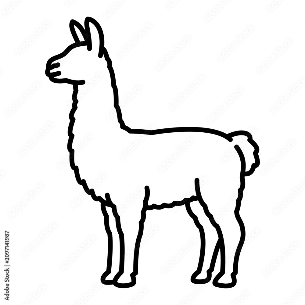 Fototapeta premium llama side profile line icon with editable stroke