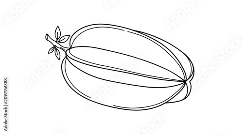 Cuadro en lienzo Star Fruit Illustration, Tropical Exotic Carambola Fruit Outline, Fresh Healthy